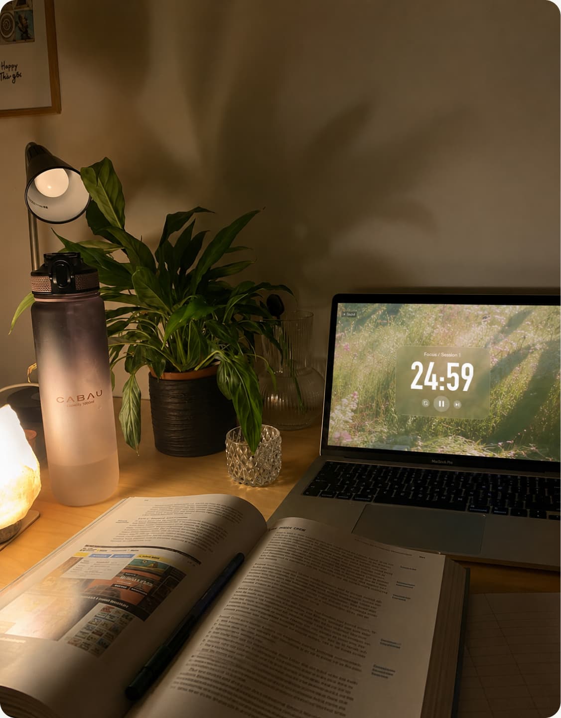 Cozy desk with plants and books